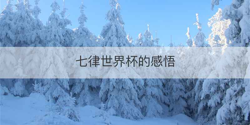 七律世界杯的感悟