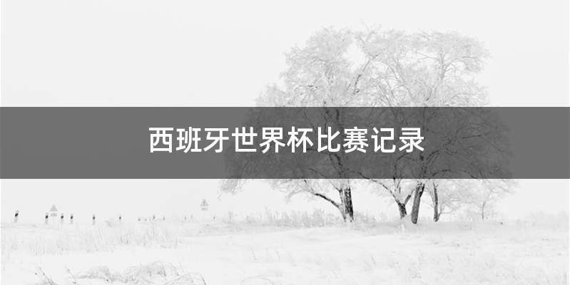 西班牙世界杯比赛记录