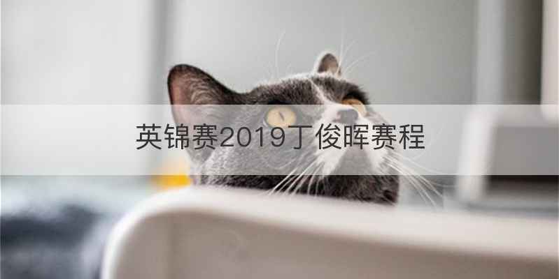 英锦赛2019丁俊晖赛程