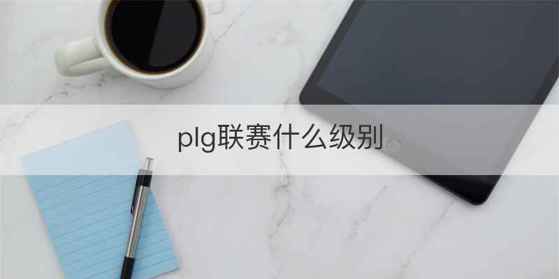 plg联赛什么级别