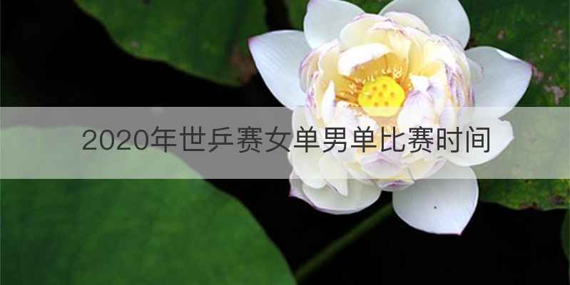 2020年世乒赛女单男单比赛时间