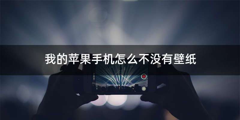 我的苹果手机怎么不没有壁纸