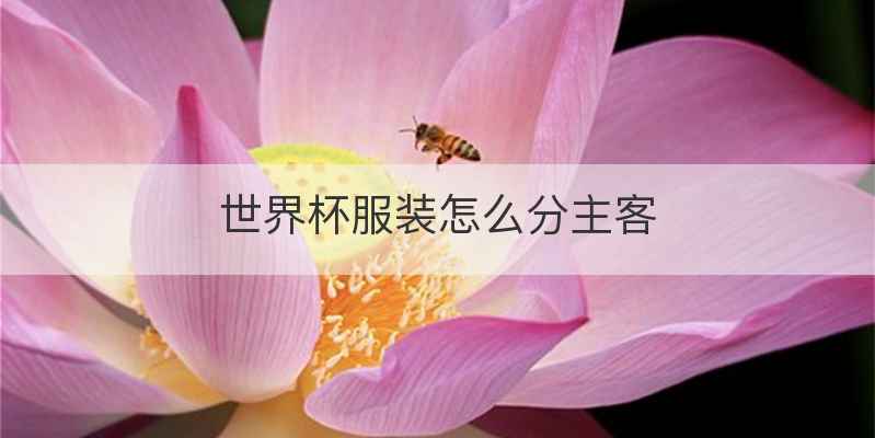 世界杯服装怎么分主客