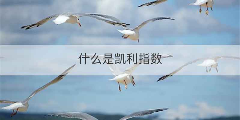 什么是凯利指数