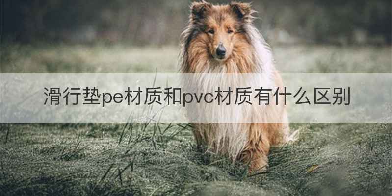 滑行垫pe材质和pvc材质有什么区别