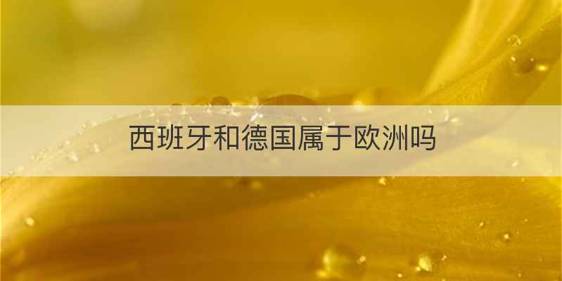 西班牙和德国属于欧洲吗