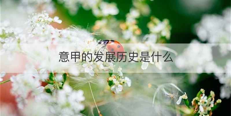 意甲的发展历史是什么