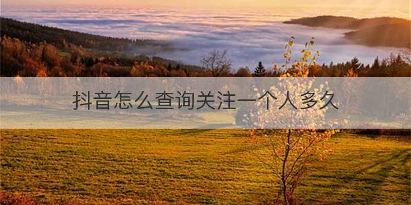 抖音怎么查询关注一个人多久