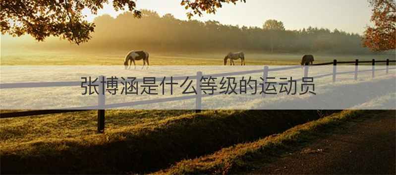 张博涵是什么等级的运动员