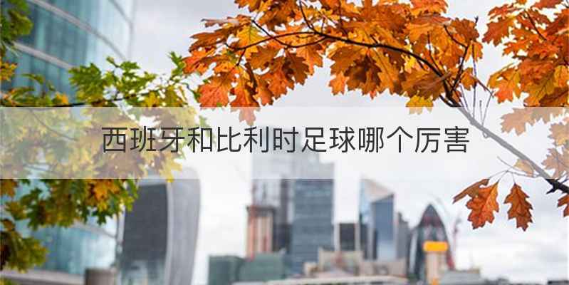 西班牙和比利时足球哪个厉害