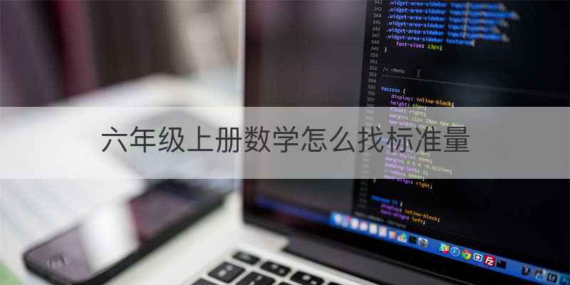 六年级上册数学怎么找标准量