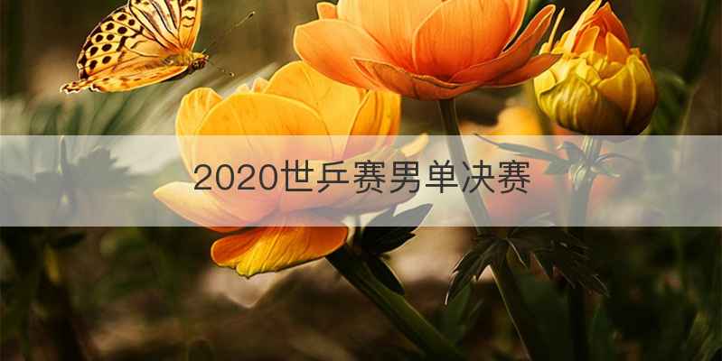 2020世乒赛男单决赛