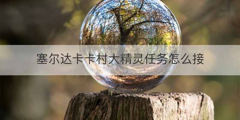 塞尔达卡卡村大精灵任务怎么接