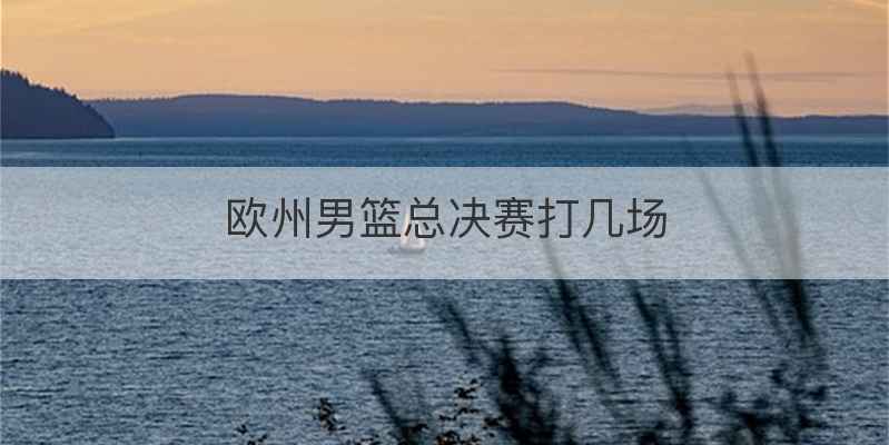 欧州男篮总决赛打几场