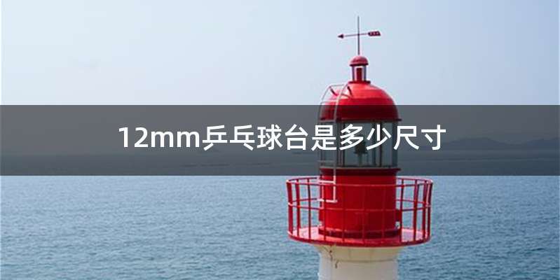 12mm乒乓球台是多少尺寸