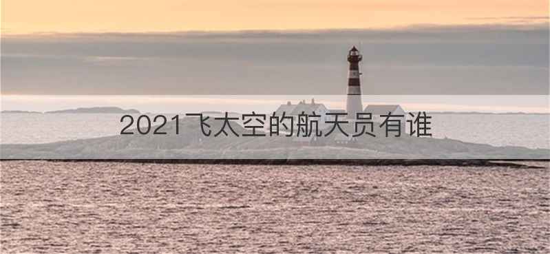 2021飞太空的航天员有谁