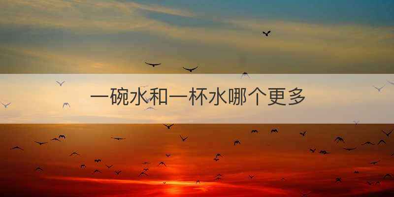 一碗水和一杯水哪个更多