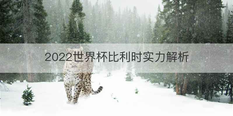 2022世界杯比利时实力解析