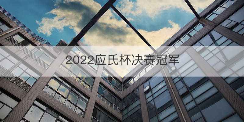 2022应氏杯决赛冠军