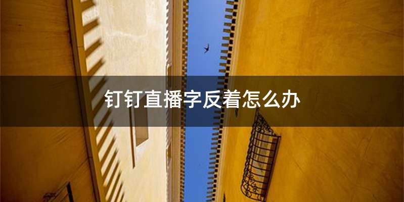 钉钉直播字反着怎么办