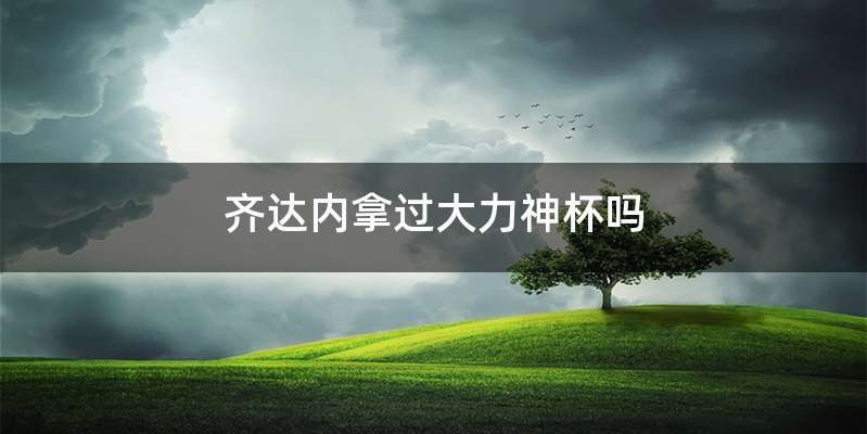 齐达内拿过大力神杯吗