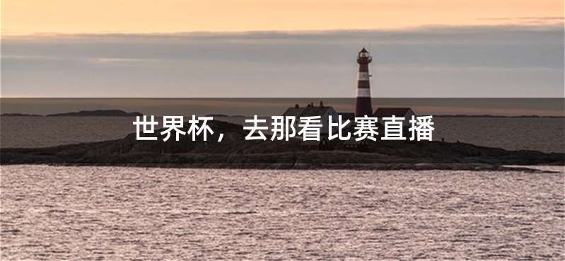 世界杯，去那看比赛直播