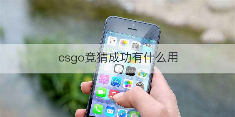 csgo竞猜成功有什么用
