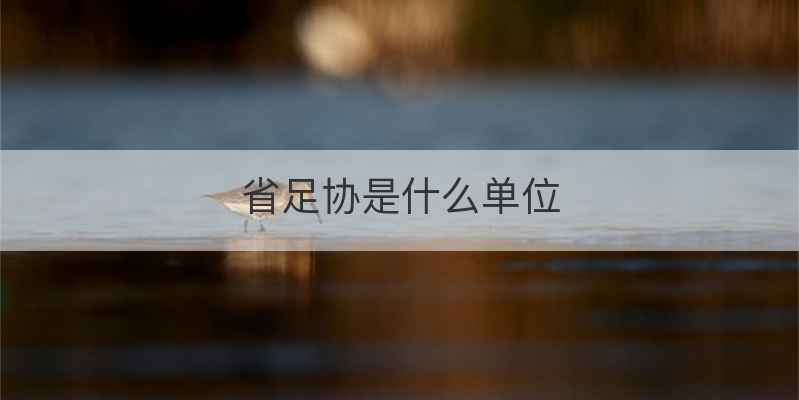 省足协是什么单位