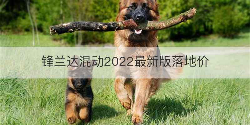 锋兰达混动2022最新版落地价