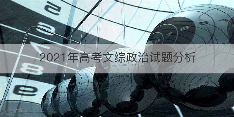 2021年高考文综政治试题分析