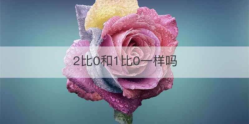 2比0和1比0一样吗
