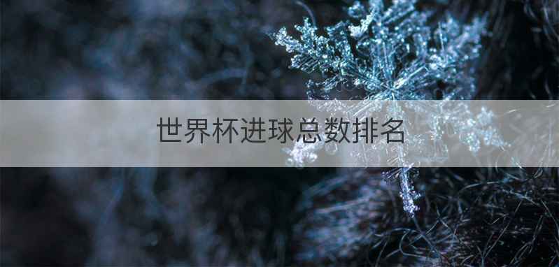 世界杯进球总数排名