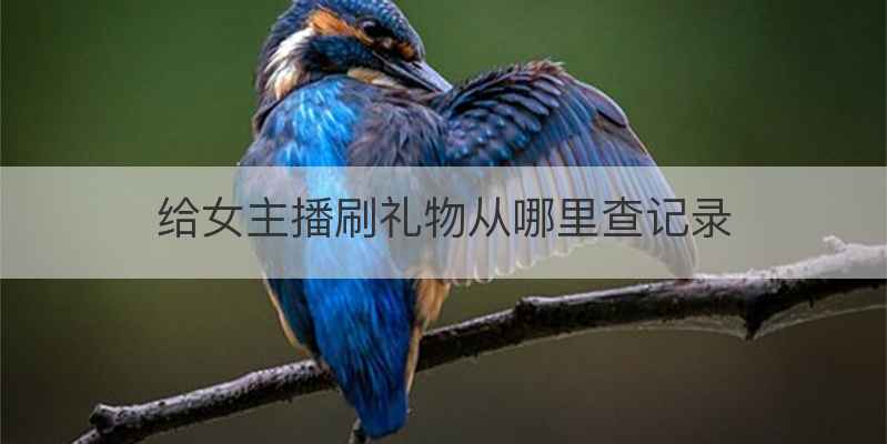 给女主播刷礼物从哪里查记录