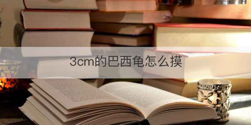 3cm的巴西龟怎么摸