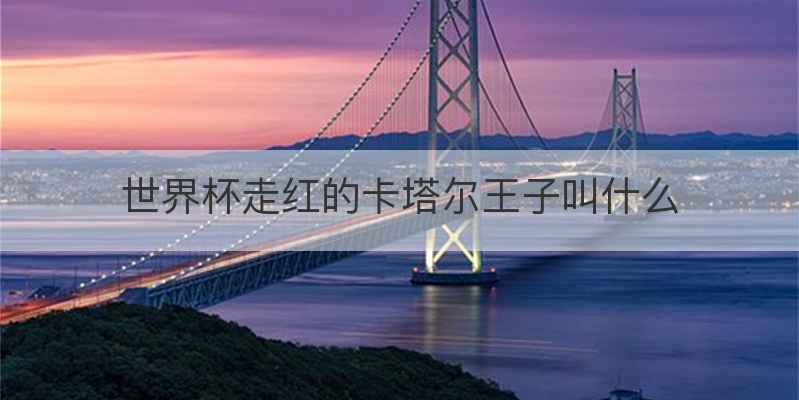 世界杯走红的卡塔尔王子叫什么