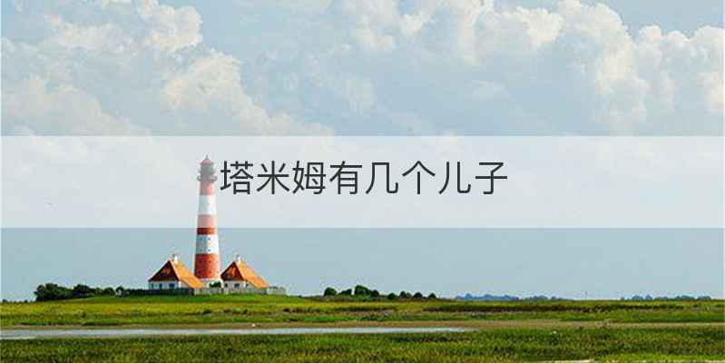 塔米姆有几个儿子