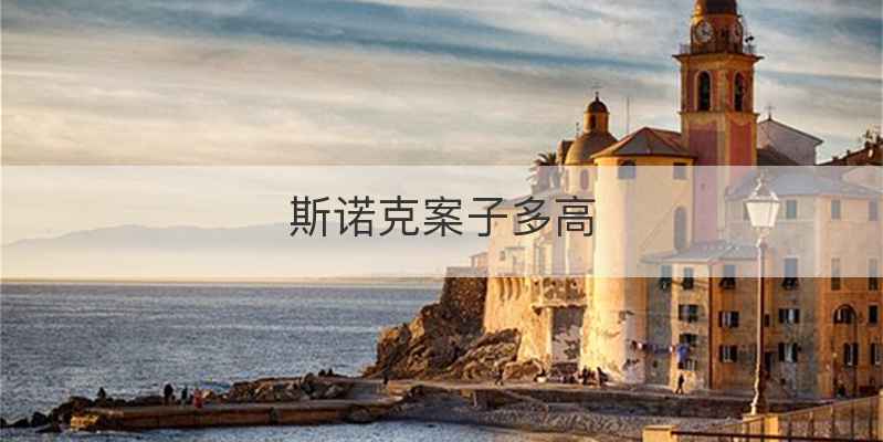 斯诺克案子多高