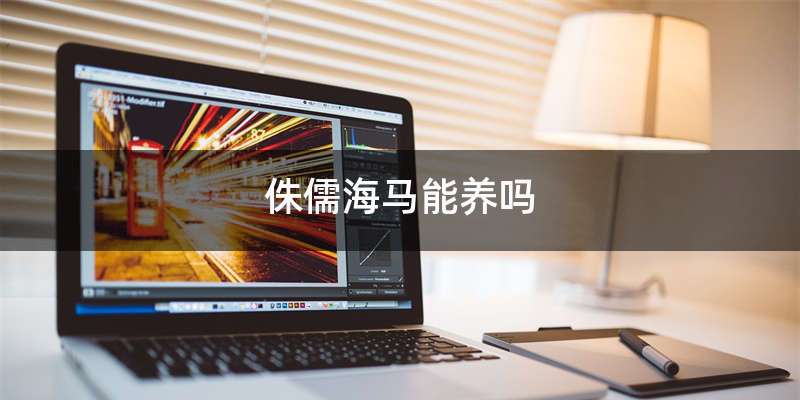 侏儒海马能养吗