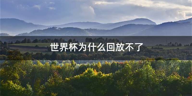 世界杯为什么回放不了