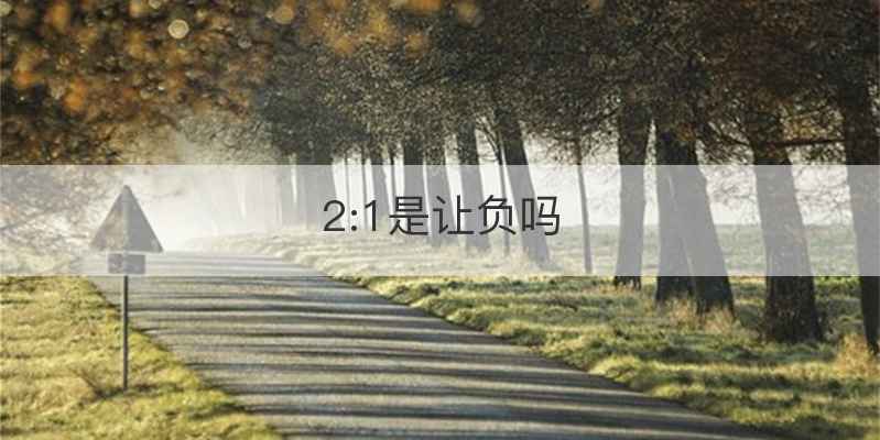 2:1是让负吗