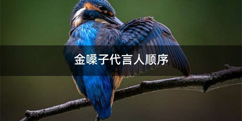 金嗓子代言人顺序