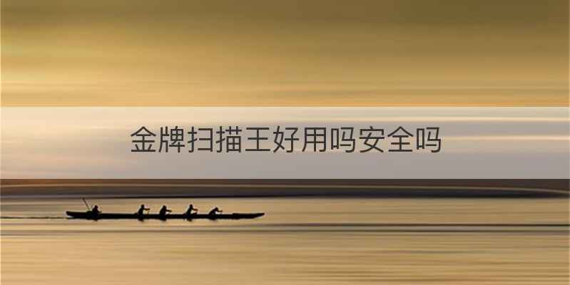 金牌扫描王好用吗安全吗