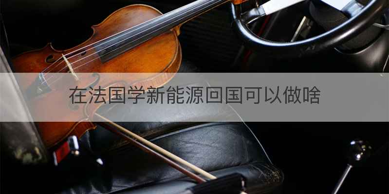 在法国学新能源回国可以做啥