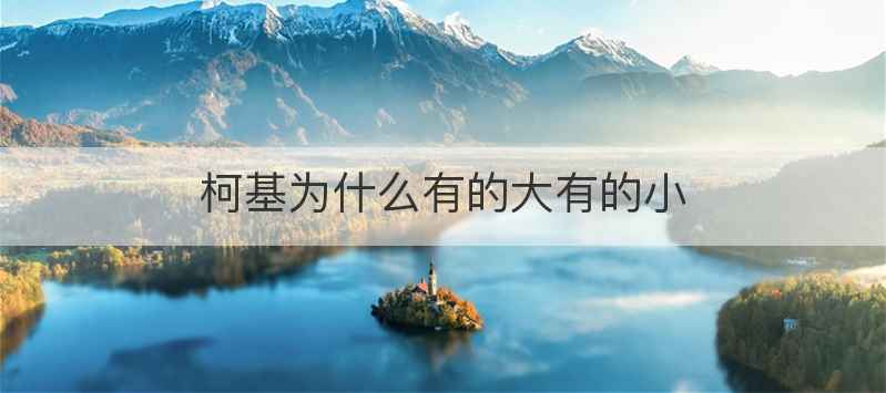 柯基为什么有的大有的小