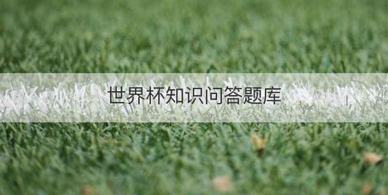 世界杯知识问答题库