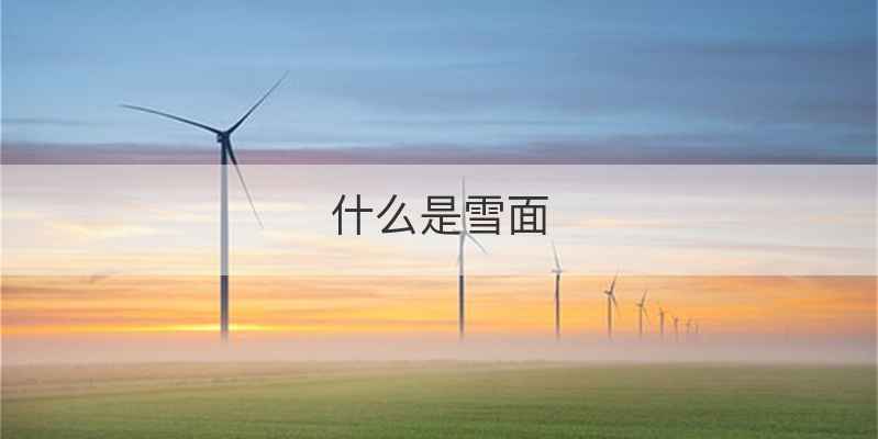 什么是雪面