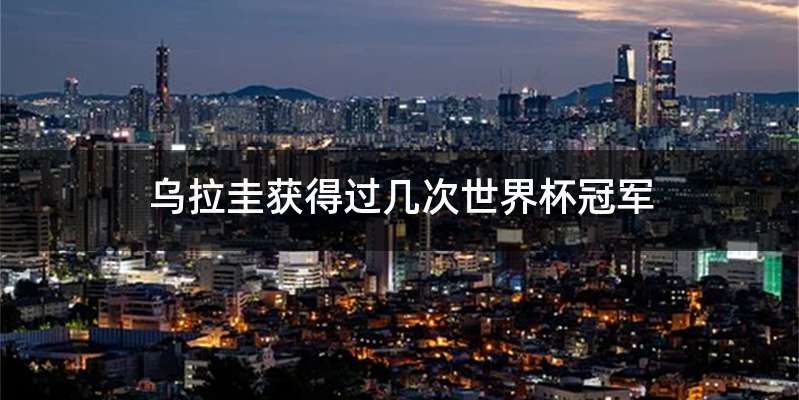 乌拉圭获得过几次世界杯冠军