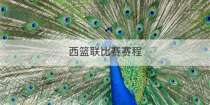 西篮联比赛赛程