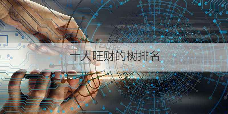 十大旺财的树排名