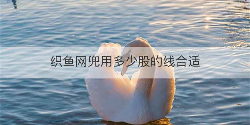 织鱼网兜用多少股的线合适